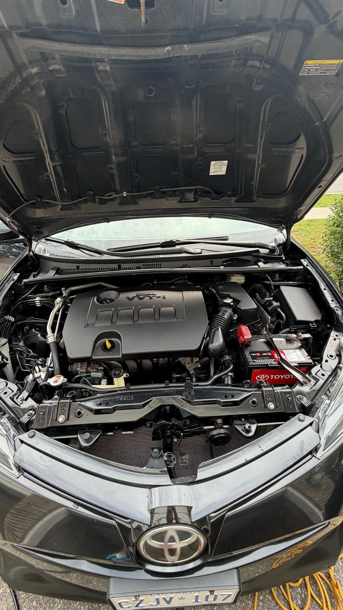 Engine bay cleaned